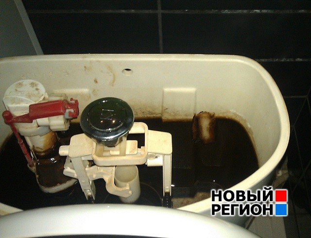Новый Регион: Толстым слоем...: у жителя Екатеринбурга из-за ржавой воды вышел из строя унитаз (ФОТО)