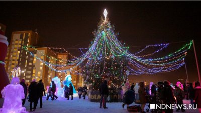Калининградцы призвали власти города передать деньги для новогодних украшений мобилизованным
