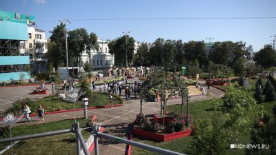 Деревья и цветы «Атмофеста» распределяют по паркам Екатеринбурга