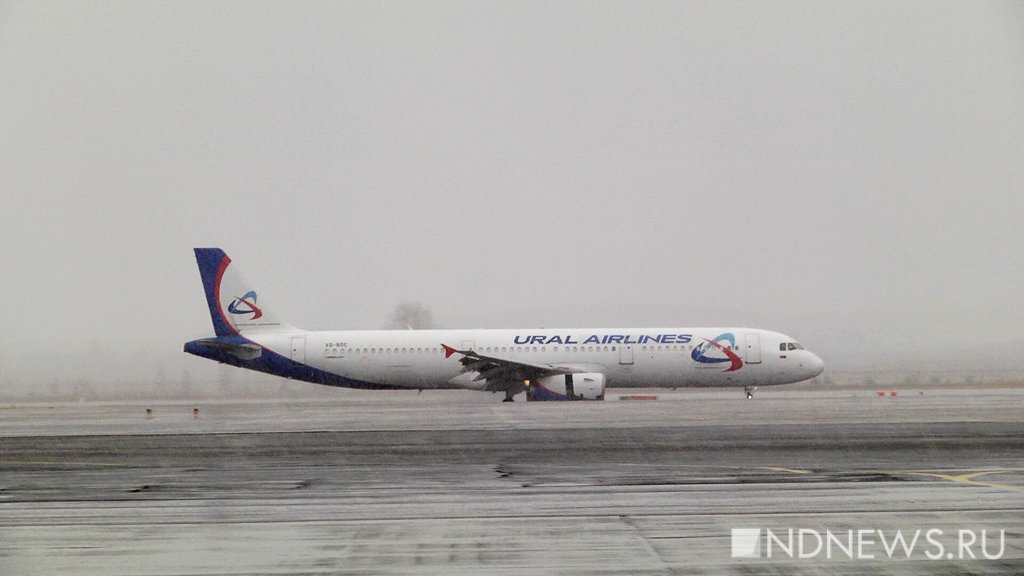 Новый День: Авиакомпания Уральские авиалинии перепрофилировала часть авиапарка под грузовой (ФОТО)
