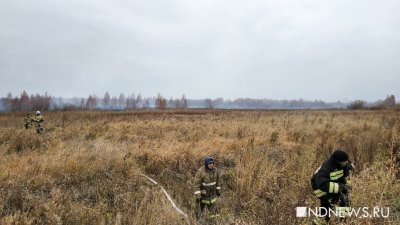 За минувшие сутки в Свердловской области произошло еще шесть лесных пожаров