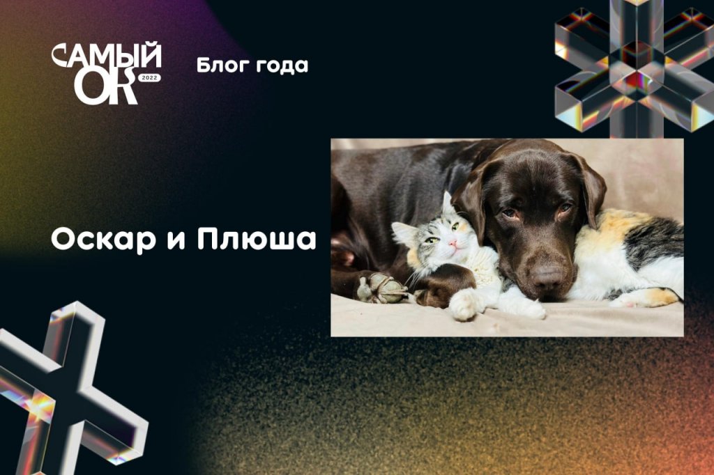 Новый День: Одноклассники объявили победителей премии лучшего контента