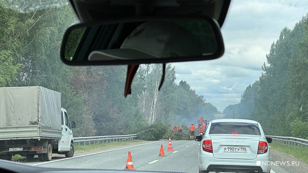 Новый День: На трассе Екатеринбург – Невьянск спецтехника убирает горящие деревья (ФОТО)