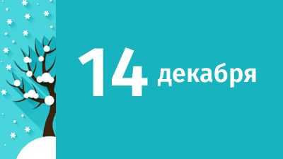 14 декабря в Свердловской области ожидаются следующие события