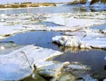 В Пермском крае экологические эксперты признали воду в Каме «очень загрязненной»