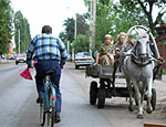 В Ужгороде запретили движение гужевого транспорта