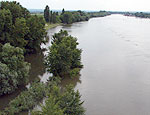 Уровень воды в Днестре пошел на убыль