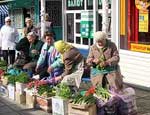 Симферопольские власти предлагают рыть нелегальной торговле «товарные ямы»