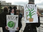 В Новосибирске прошла «Алоэ! Арбуэ!»: Монстрация