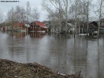 На Камчатке поселок подтапливает грунтовыми водами