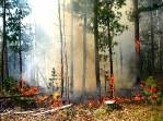 Число жертв пожара в Амурской области увеличилось