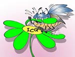 Российские компании включились в борьбу за ICQ