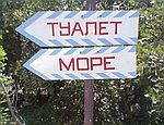 В Ялте одного отдыхающего покусали, другого – закрыли в общественном туалете