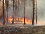 Ядерному центру в Сарове вновь угрожают лесные пожары