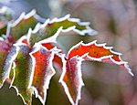 Во вторник на Украине – до +14°C и заморозки