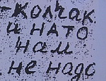 Оппозиция смогла собрать на митинг в Севастополе около 100 человек (ФОТО)