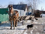 В удмуртской глубинке «скорую» заменяет телега с лошадью