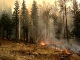 В Забайкальском национальном парке введен режим ЧС