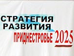 Проект Стратегии развития Приднестровья до 2025 года представлен в ходе делового форума в Рыбнице