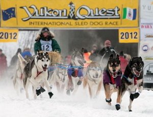 Чукотский участник гонки Yukon Quest выбыл из соревнований