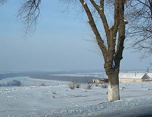 На севере Приднестровья из-за морозов погибло около трети посевов озимых