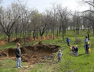 Парк в районе пляжа Учкуевка в Севастополе превращен в свалку (ФОТО)