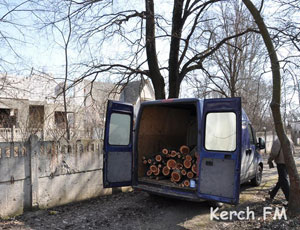 Новый собственник участков в керченском парке вырубает деревья под застройку (ФОТО)