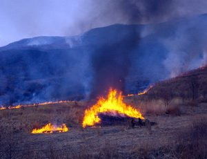 В Приморье зарегистрировано 4 природных пожара