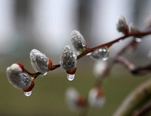 На Украине сначала потеплеет до +20, а затем снова пойдет снег