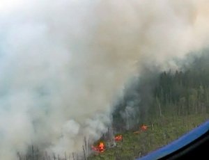 Красноярск затянуло дымом лесных пожаров