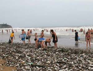 На пляж под Владивостоком пролился дождь из морских деликатесов (ФОТО)