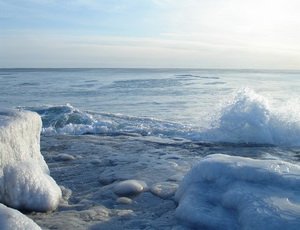 На поиски членов экипажа сухогруза «Амурская» вылетел вертолет