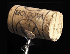 Россия и Молдавия «прорвались» к восстановлению торговых отношений / И вино обещали вернуть
