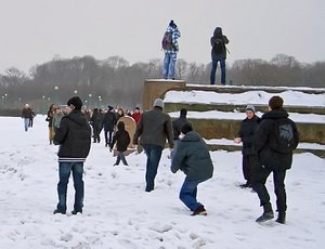 В Петербурге полиция наблюдала за игрой в снежки