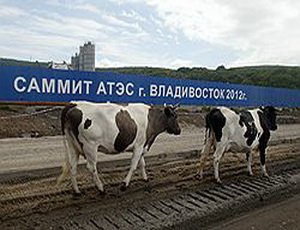 Во Владивостоке пришла в упадок главная набережная