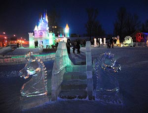 В Красноярском крае школьница задохнулась в ледяной черепахе