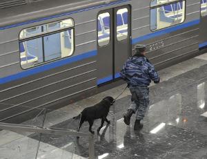 Полиция задержала участников массовой драки на станции метро «Парк Победы»