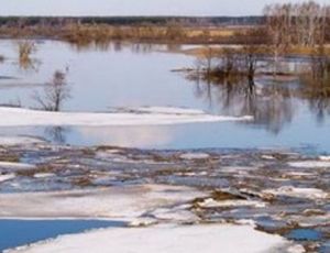 В Якутии освободилось от воды село 1-й Нерюктяйинск / Полиция охраняет дома