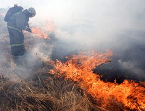 Более 4000 гектаров леса сгорели за сутки на Дальнем Востоке