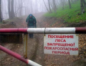 Госдума хочет штрафовать за прогулки в лесу