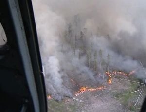 В Якутии пропали трое лесничих