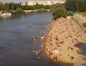 В водоёмах Приднестровья обнаружен холероподобный вибрион