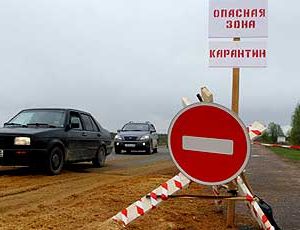 Карантин по бешенству объявлен в нескольких муниципалитетах Подмосковья