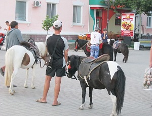 В Бердянске туристов развлекали голодные и раненые пони