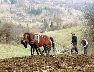 Россия выходит на знакомый исторический путь