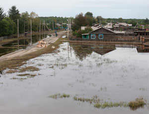 Уровень воды в реке Амур достиг семи с половиной метров