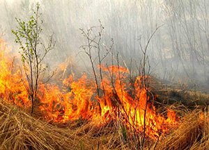 Метеослужба: Молдове угрожают пожары из-за жаркой и сухой погоды