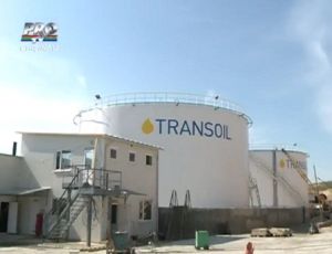 Мнение: Trans-Oil монополизирует экспорт зерна