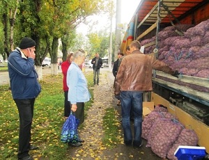 Власти Одессы продают горожанам картофель по дешевке