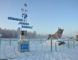 Из Якутска в Оймякон отправились 40 автомобилей